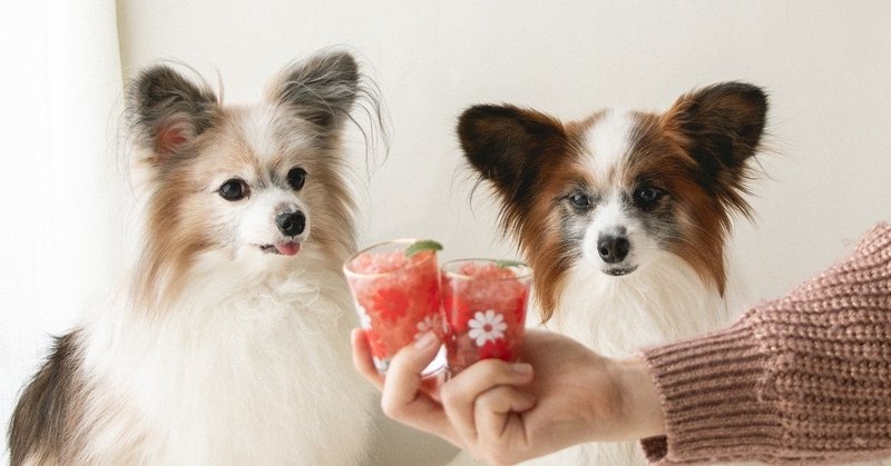 いちごを使った犬のバレンタインレシピ いちかわあやこ 犬ごはん先生 Note