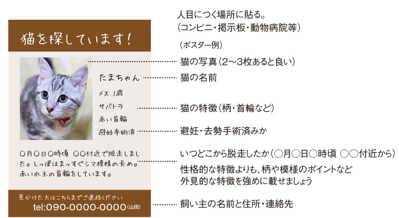 脱走対策~脱走してしまったら|ネコデア/ねこをテーマにアイデアを