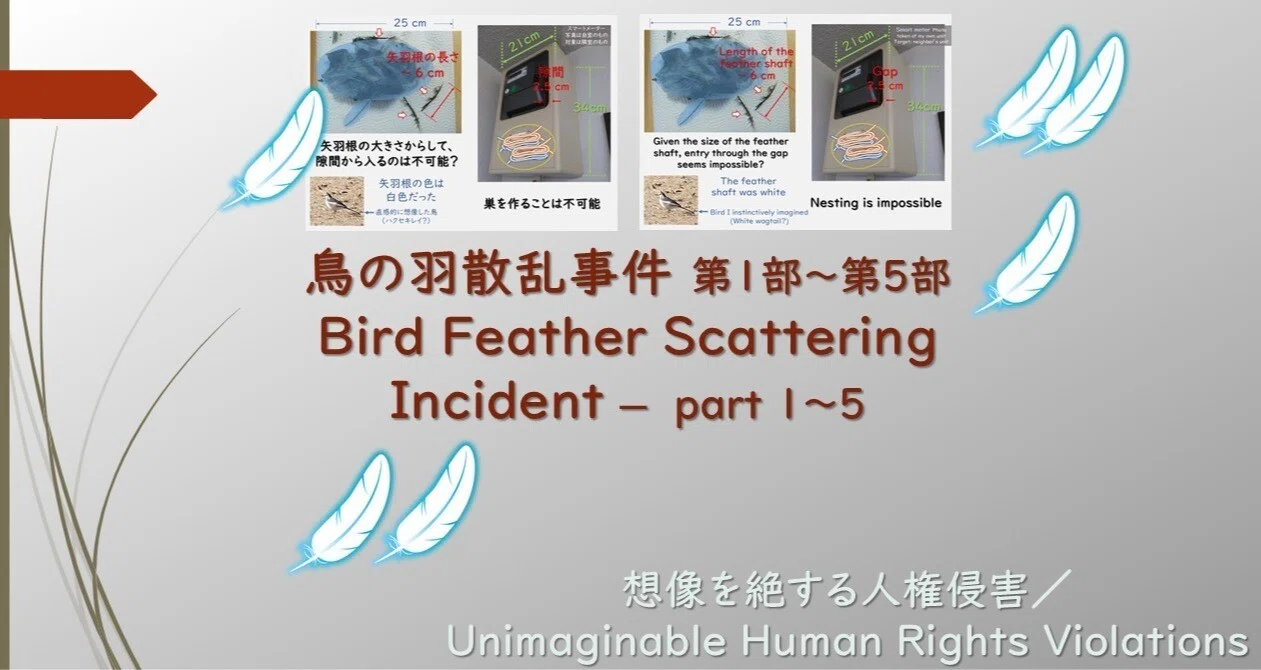 鳥の羽～／The Bird Feather ~ (Eng.)｜えむたや｜note