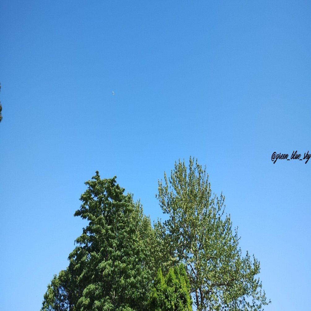 刑法の理論的対立（特に「結果無価値論」と「行為無価値論」）｜青空と緑の下で Part5