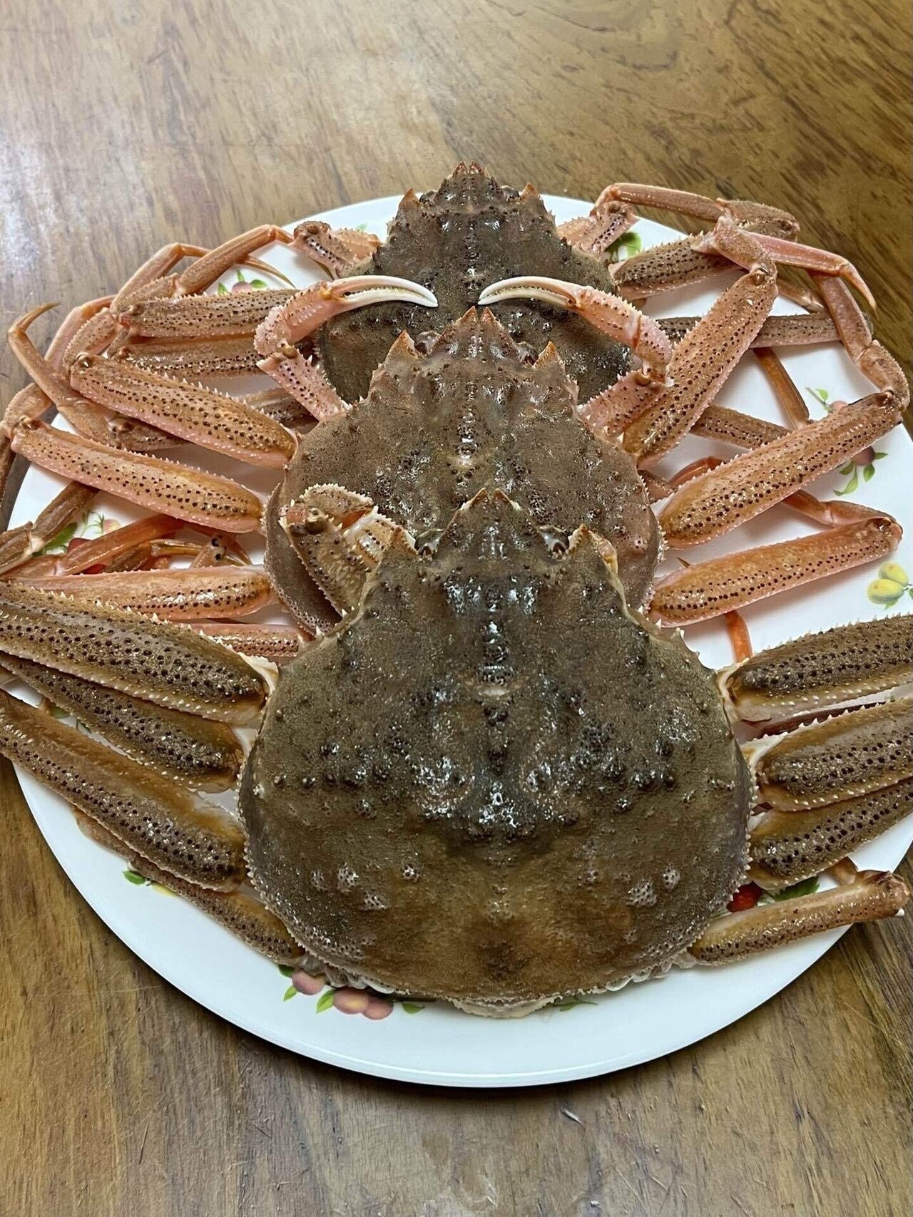 カニさん 🦀カニさん、蟹さん❕セコガニさん❣️📚ss｜まるまるの虫 カメさん