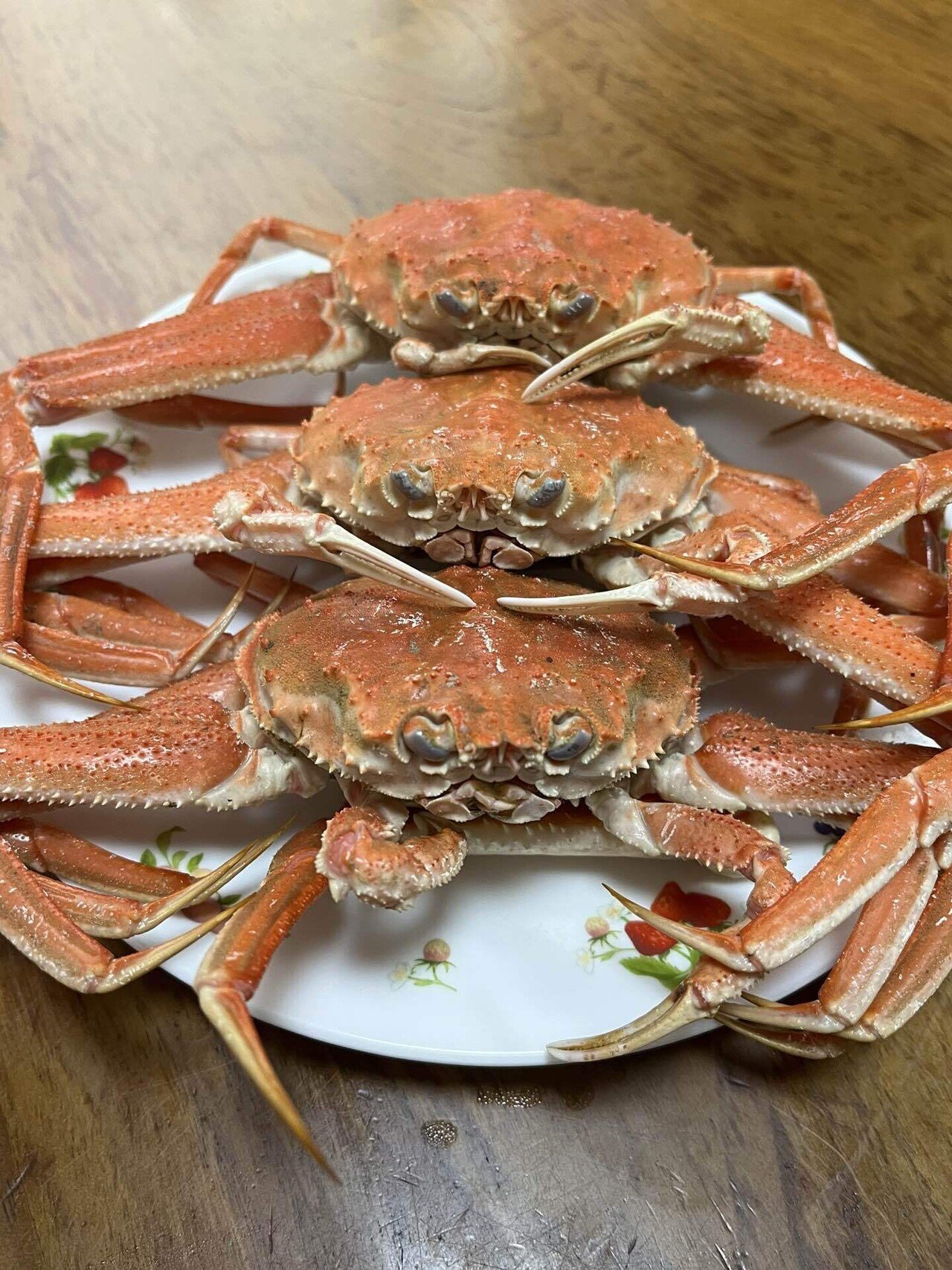 🦀カニさん、蟹さん❕セコガニさん❣️📚ss｜まるまるの虫 カメさん