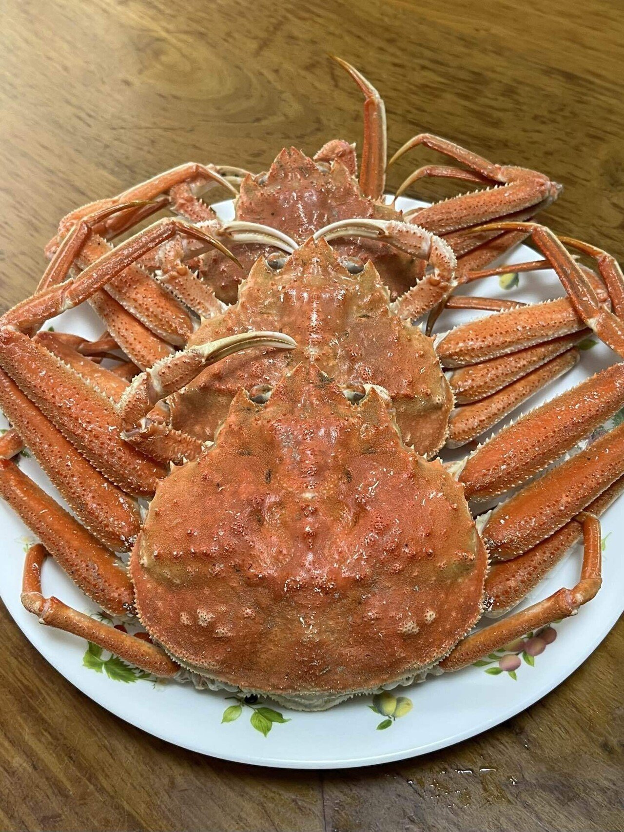 🦀カニさん、蟹さん❕セコガニさん❣️📚ss｜まるまるの虫 カメさん