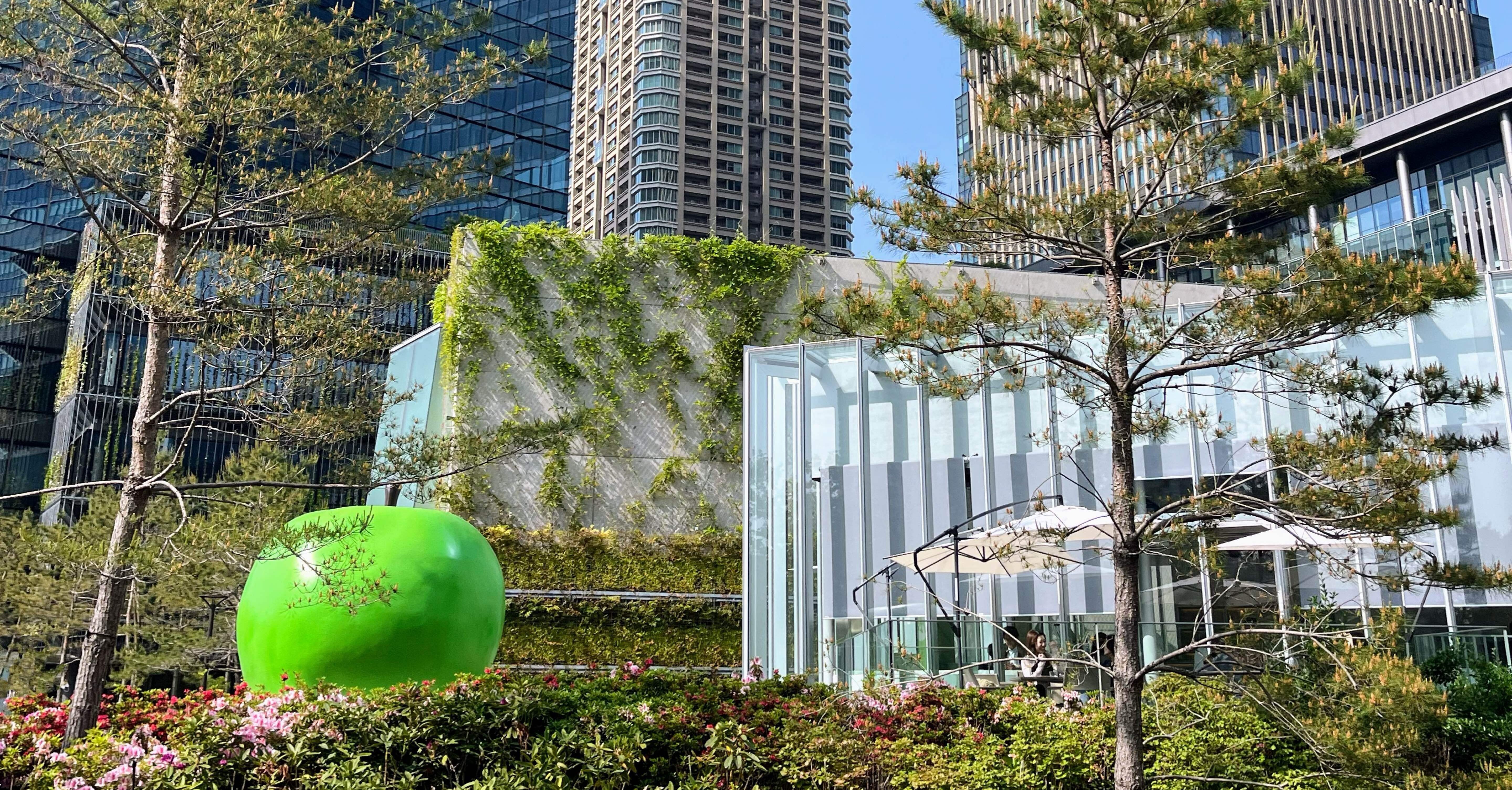 安藤忠雄展 青春 – TADAO ANDO YOUTH ｜ 会場: グラングリーン大阪 VS