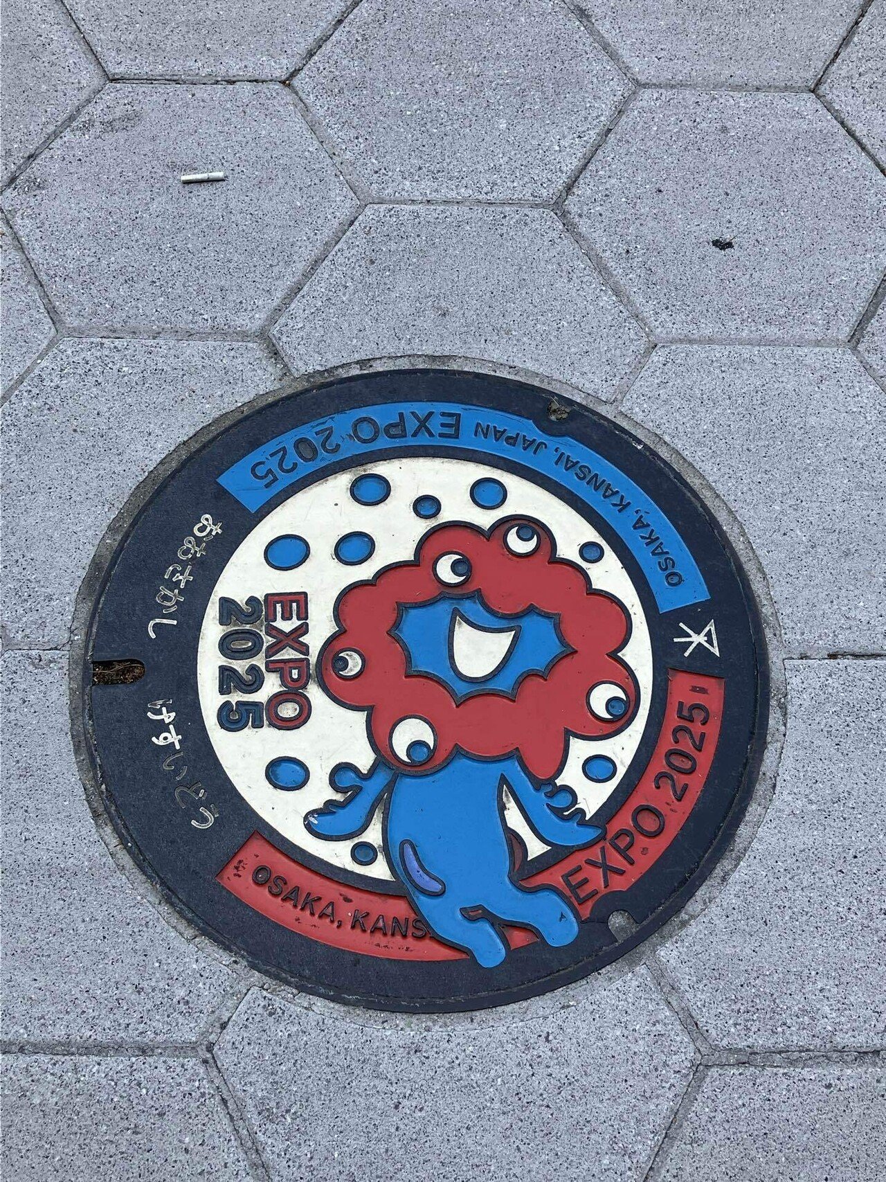 マンホールの博物誌　水と道路と人々との交差点 マンホールの博物誌 水と道路と人々との交差点