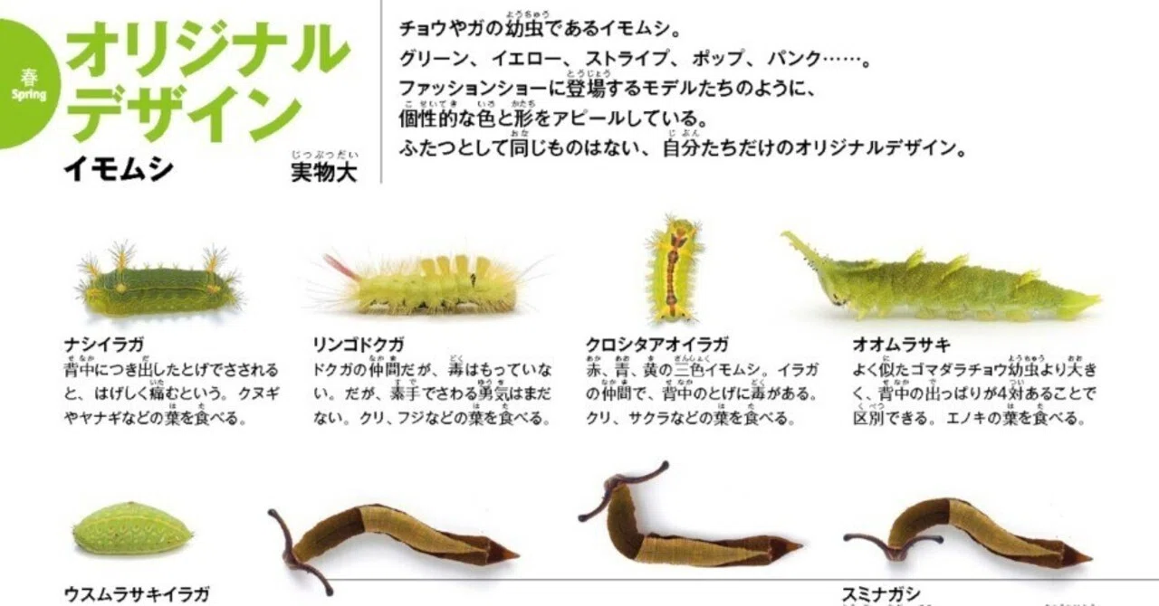 春だ、イモムシを見つけよう。｜ヤマケイの本