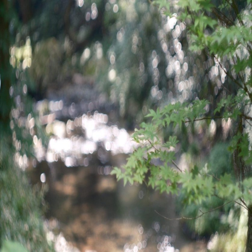 Helios 44M 58mm F2 / 作例 #1 個性豊かなボケを楽しむオールドレンズ