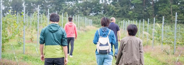 了美 Vineyard and Winery 訪問