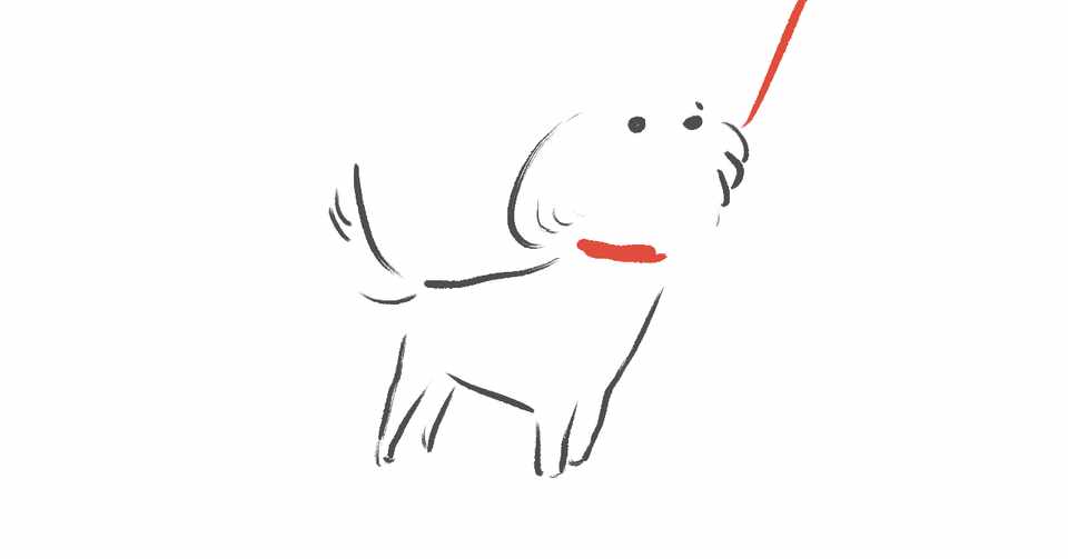 ペットの家族の介護と最期について考える あやにー Note