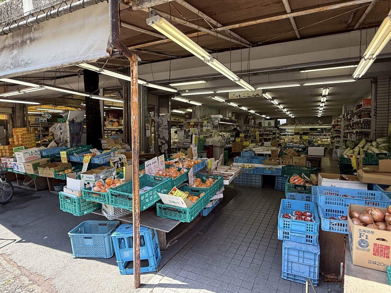 23歳無職がゆく 自転車野宿旅🌊] 徳島市ノスタルジック｜Takumi / 巧