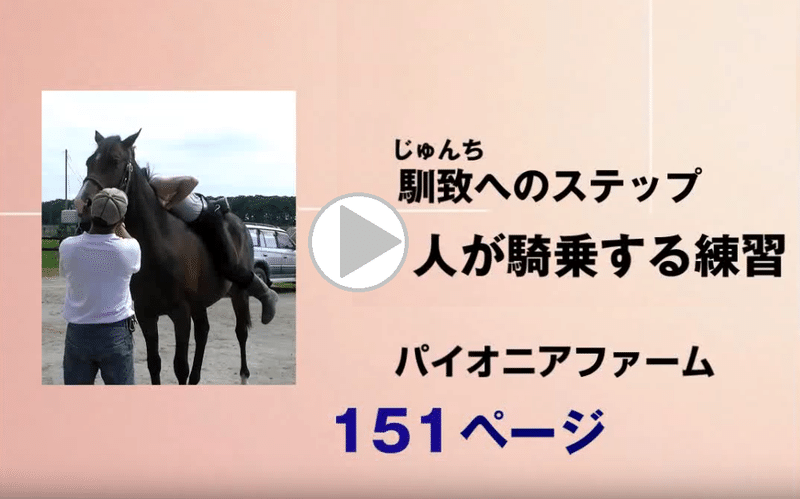 動画 馴致 じゅんち へのステップ 人が騎乗する練習 Jrdb 競馬アラカルト Note 動画 馴致 じゅんち へのステップ 人が騎乗する練習 Jrdb 競馬アラカルト Note