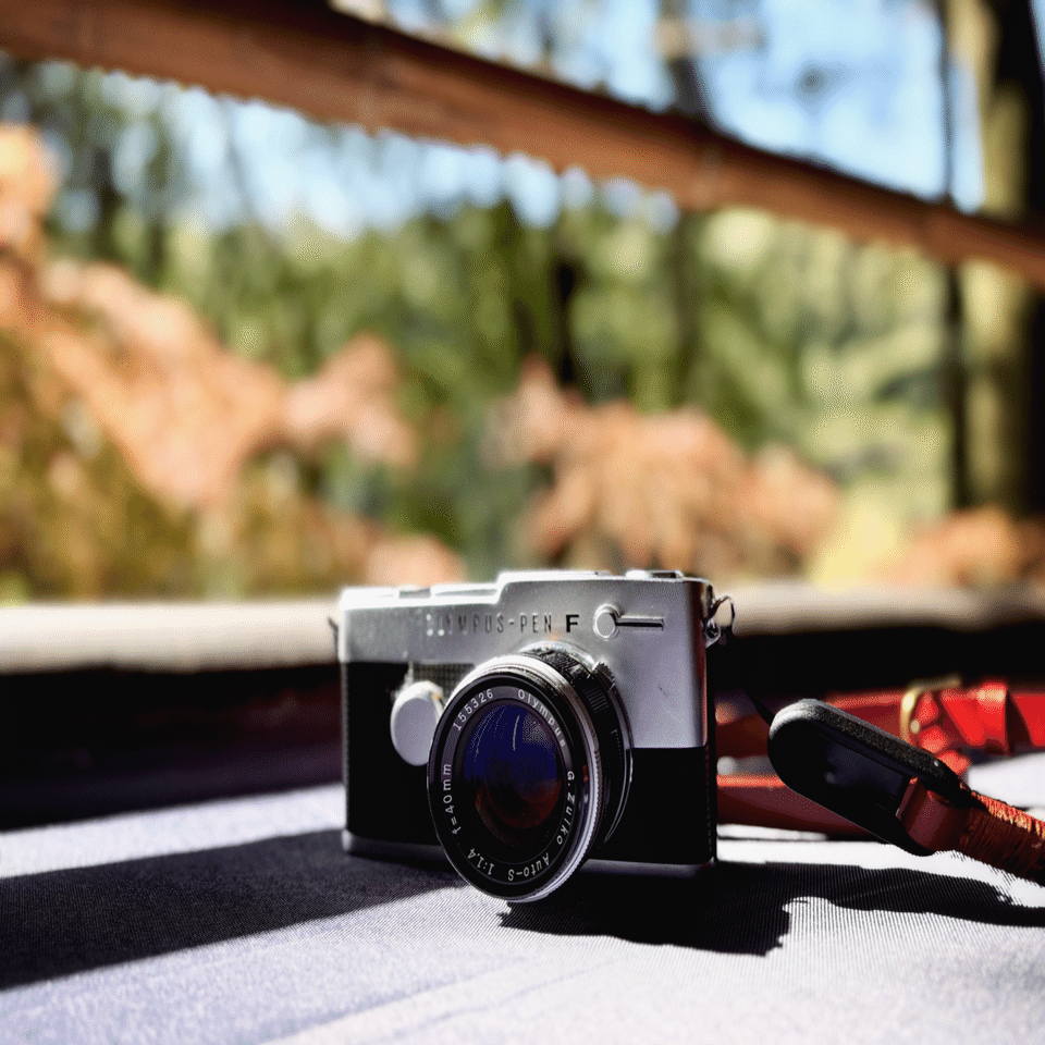 OLYMPUS PEN FTとの付き合い方 【作例あり】｜Genki Mishima