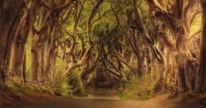 本当に効果のある おまじない レイ 女は強いのよ Note