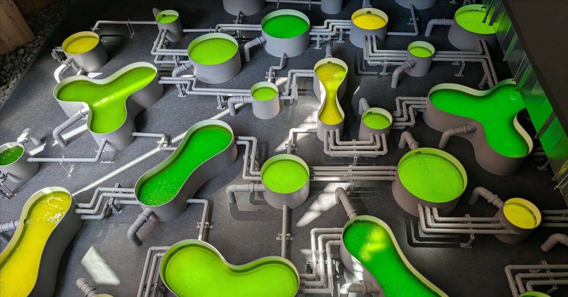 最終お値下げ　大阪関西万博 ポーランド館 便覧 非売品 2025年大阪・関西万博 ポーランド館 ‐ - YouTube