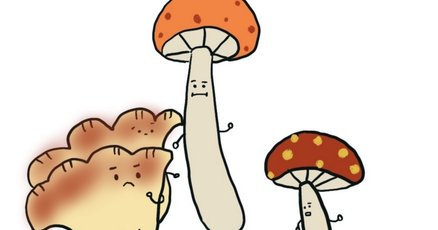 Midwinter ミッドウィンター Toadstools 毒キノコ トリオ