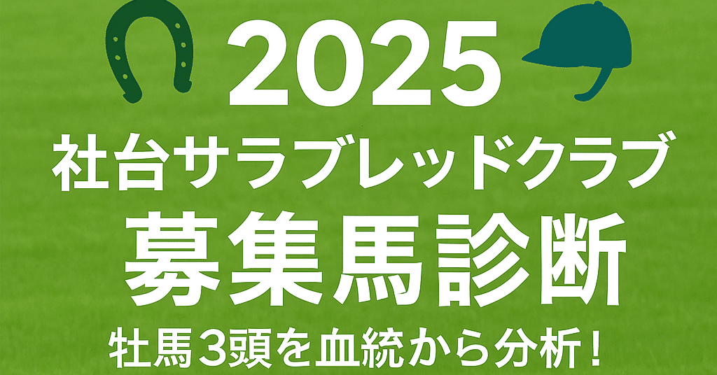 未開封2023年 社台サラブレッドクラブ サンデーサラブレッドクラブ カタログ 61kD7XJk01L._UF350,350_QL80_.jpg