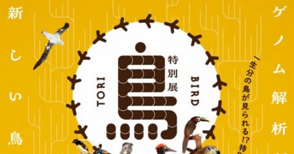 恐竜日記④】恐竜・化石の提供者はこんな人ー十津守宏さんのご