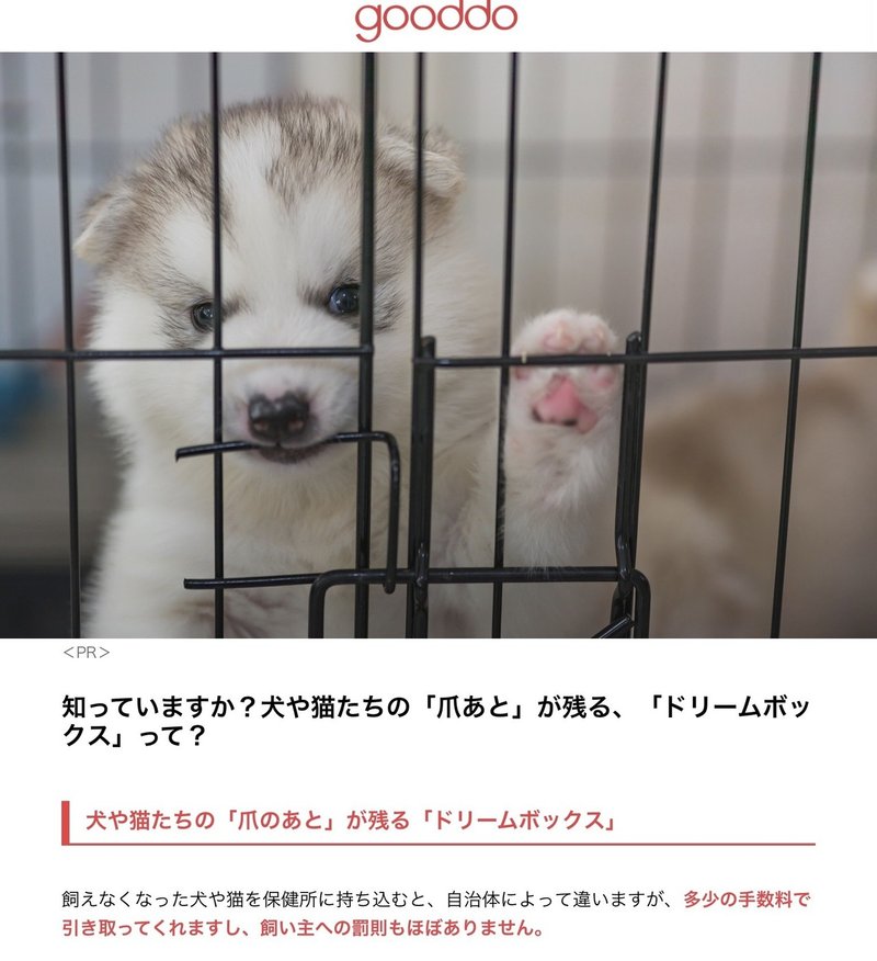 やむ得ない犬猫殺処分をガス殺から安楽死へ 修正版 副業リンク全飛び改善済再度見てね モラハラノート紹介aaef 宮咲アンナ Note やむ得ない犬猫殺処分をガス殺から安楽死へ 修正版 副業リンク全飛び改善済再度見てね モラハラノート紹介aaef 宮咲アンナ Note