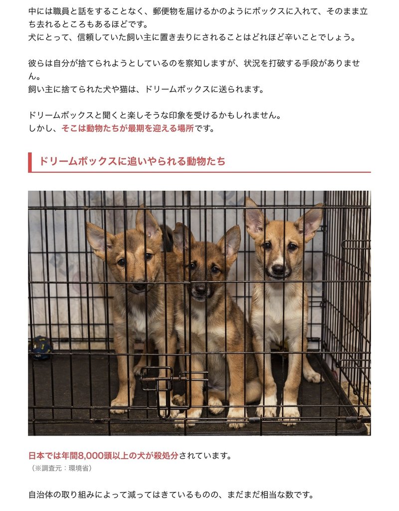 やむ得ない犬猫殺処分をガス殺から安楽死へ 修正版 副業リンク全飛び改善済再度見てね モラハラノート紹介aaef 宮咲アンナ Note やむ得ない犬猫殺処分をガス殺から安楽死へ 修正版 副業リンク全飛び改善済再度見てね モラハラノート紹介aaef 宮咲アンナ Note