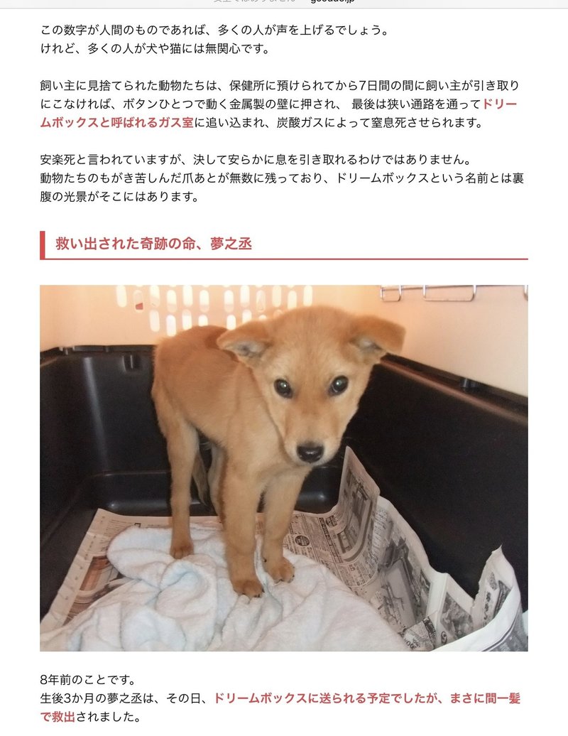 やむ得ない犬猫殺処分をガス殺から安楽死へ 修正版 副業リンク全飛び改善済再度見てね モラハラノート紹介aaef 宮咲アンナ Note やむ得ない犬猫殺処分をガス殺から安楽死へ 修正版 副業リンク全飛び改善済再度見てね モラハラノート紹介aaef 宮咲アンナ Note