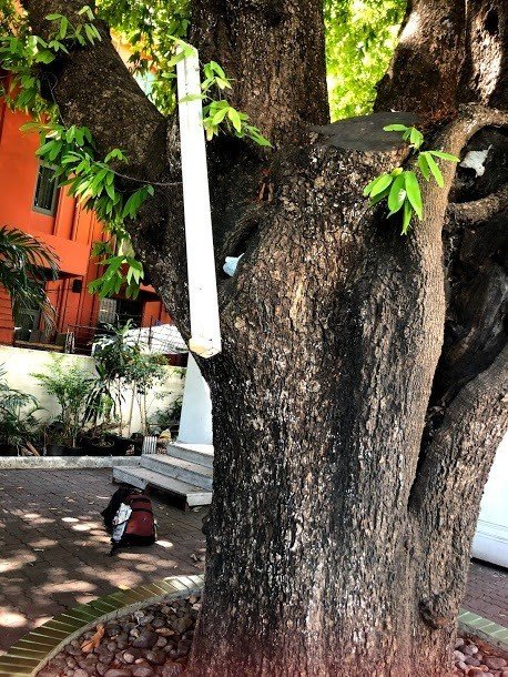 自分に興味津々なのでタイに瞑想修行しに行ってみたら見事爆睡した話 おしり Note