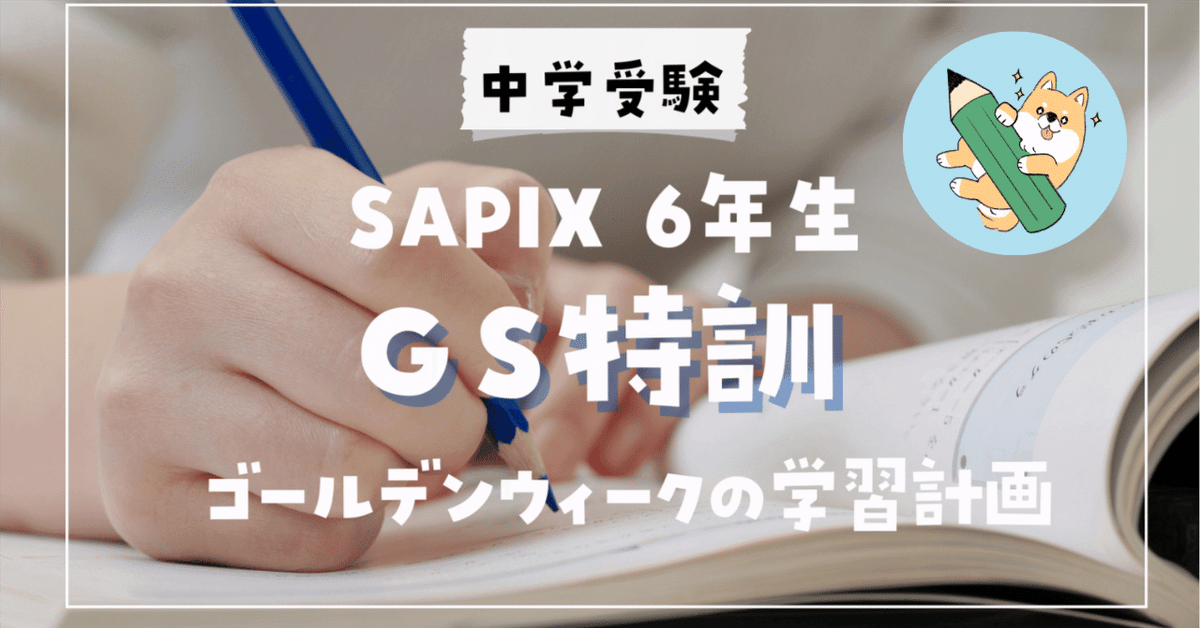 超人気 ずっと気になってた SAPIX6年GS特訓4科目全て2025卒業組 語学・辞書・学習参考書