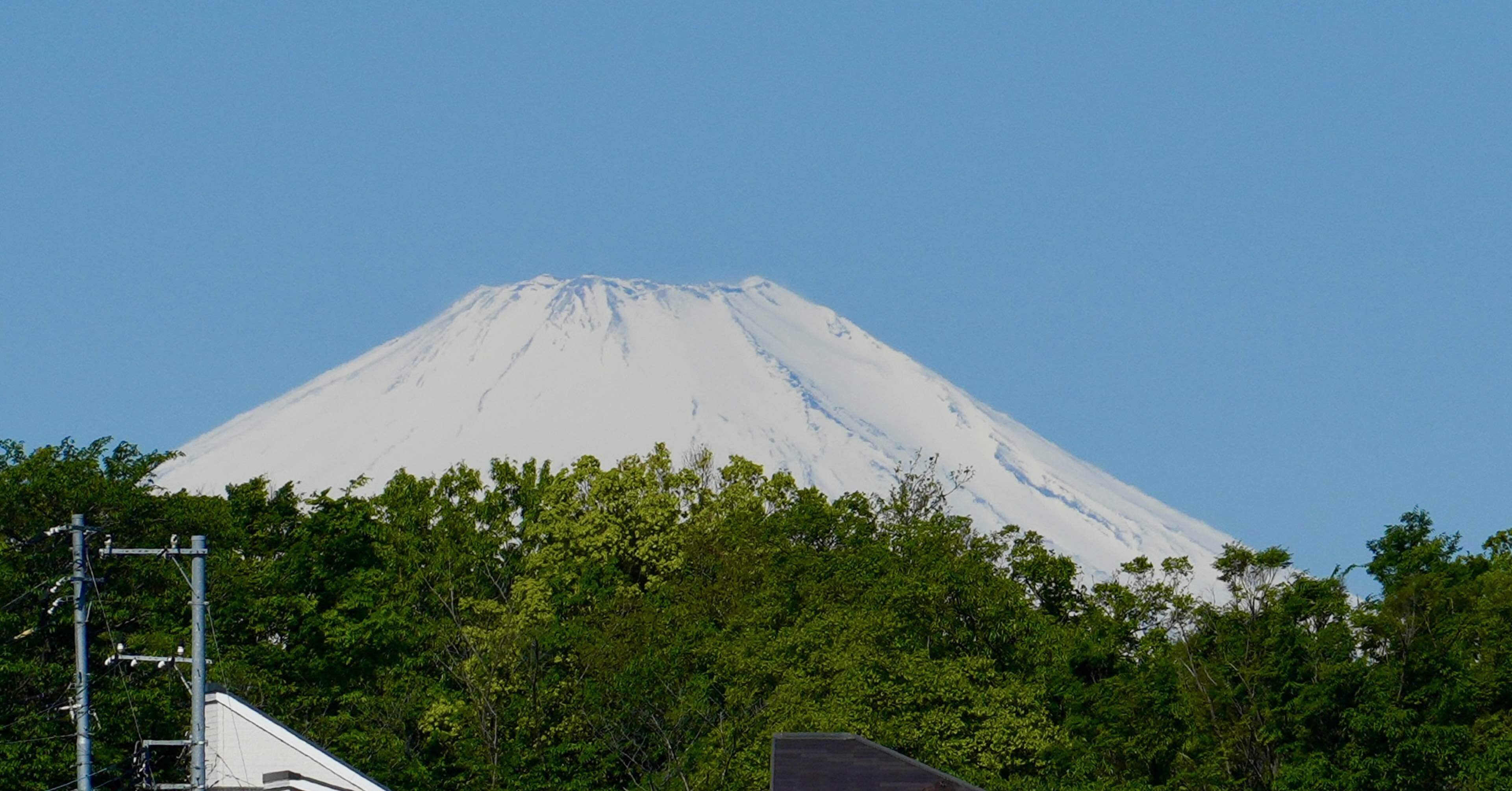 富士山と路傍の野草とα6700と｜SuzukenSambar