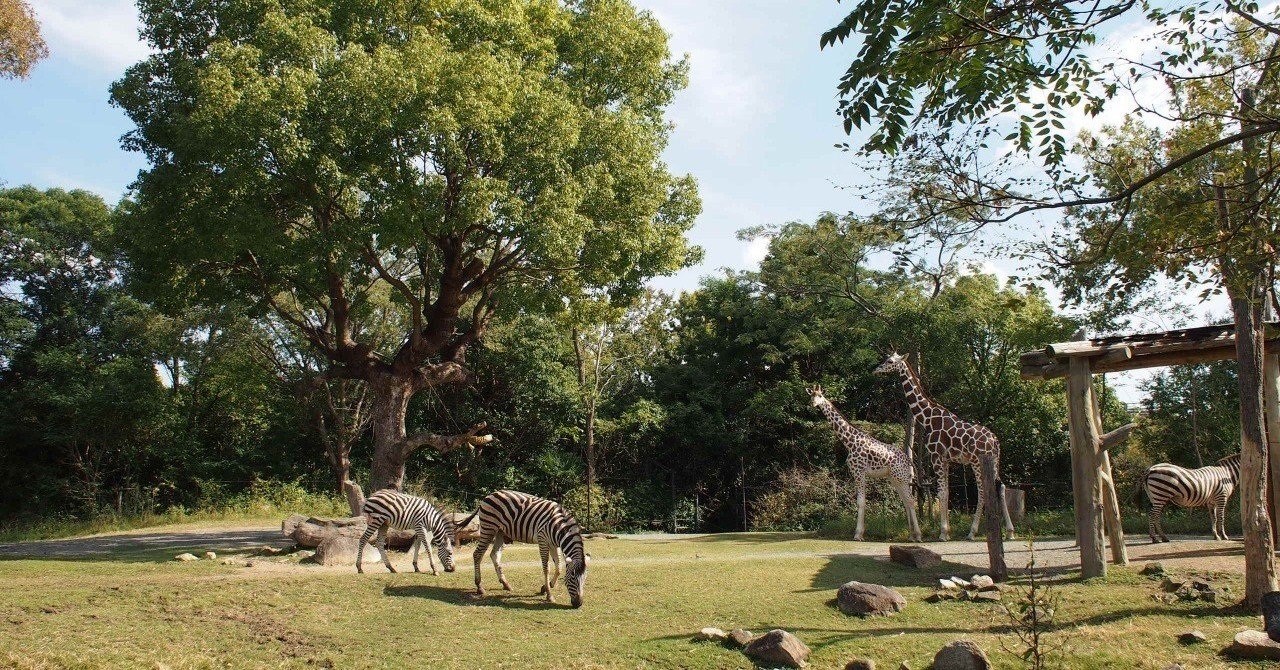 旭山動物園から考える組織変革について イズミリョウ フリーランスsw Note 旭山動物園から考える組織変革について イズミリョウ フリーランスsw Note