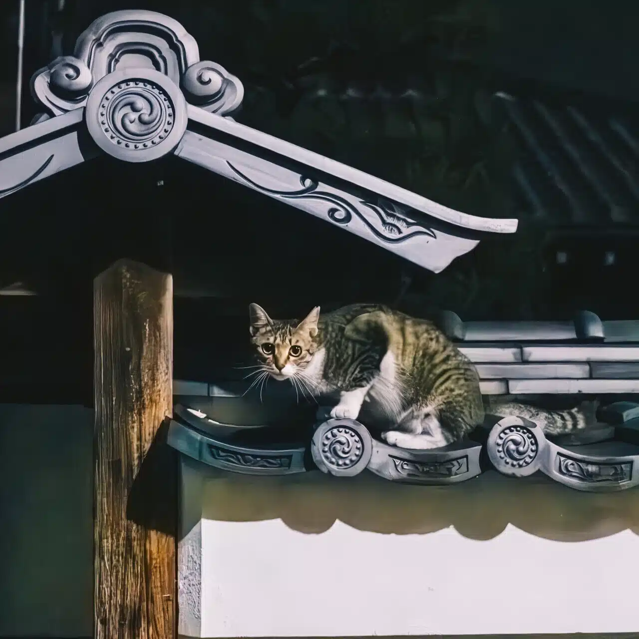視点のアトリエ