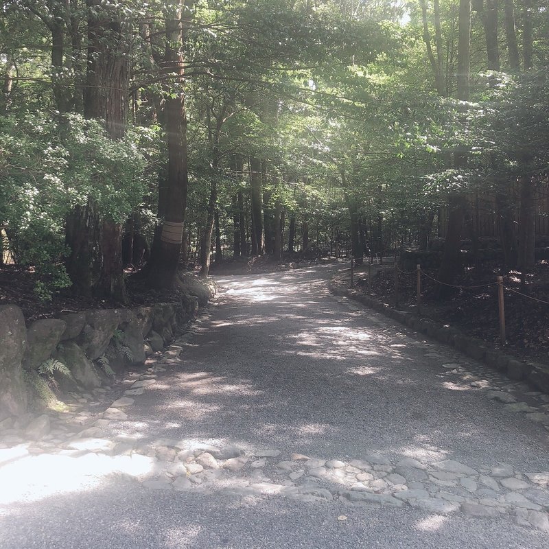 木漏れ日撮るだけで良い感じする Saorimakino Note