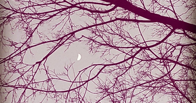 パクリmv集 宮本浩次 星野源 米津玄師 我人祥太 黒谷知也 Bumpofchicken 三浦大知 Kinggnu Official髭男dism いきものがかり ヒカキン セ Amenooto Note