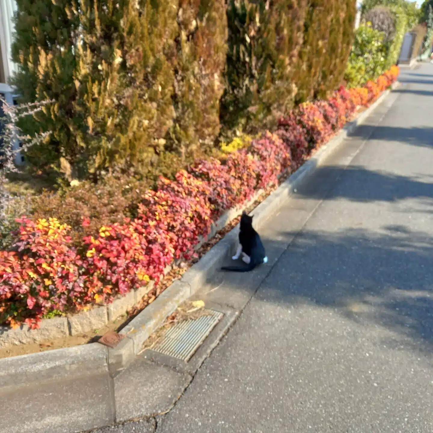 けんさん