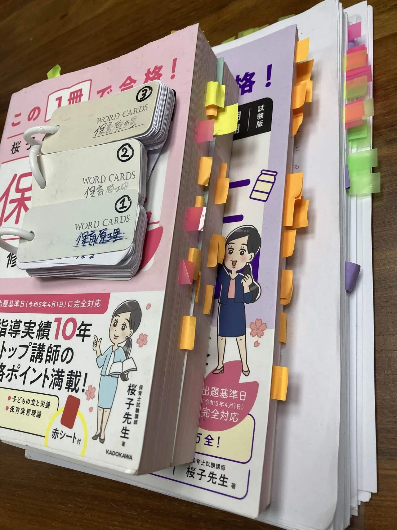 バラ売り可能】保育士 幼稚園教諭のための実用書 参考書 保育内容