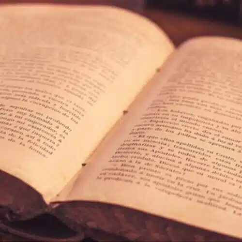 読書の虫