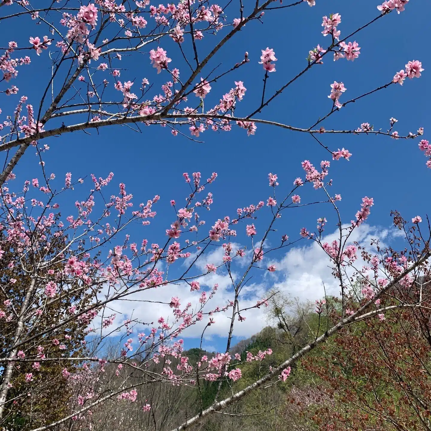 ひかり✨✨✨
