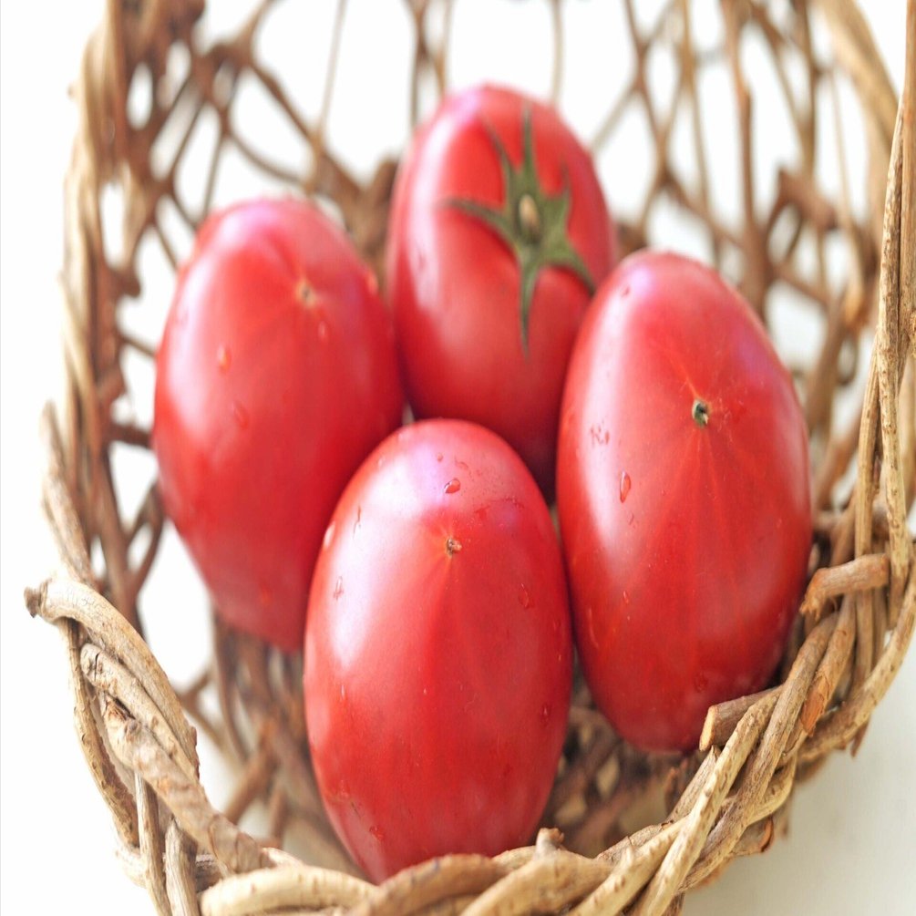 トマト 極甘・極濃な「スーパーフルーツトマト」でカペッリーニ｜松本純子