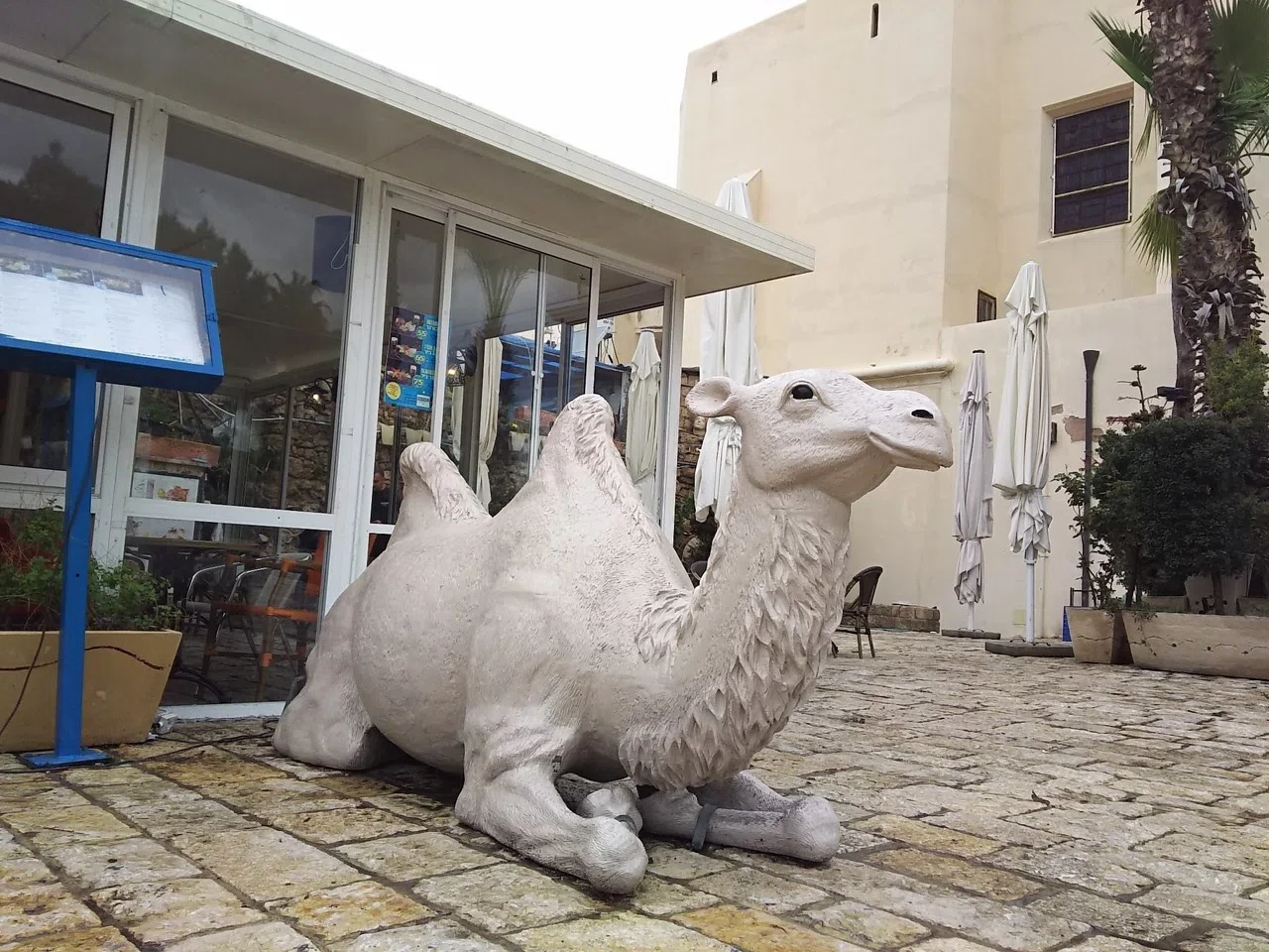 イスラエル観光 Part1 ヤッフォ旧市街（Jaffa old city