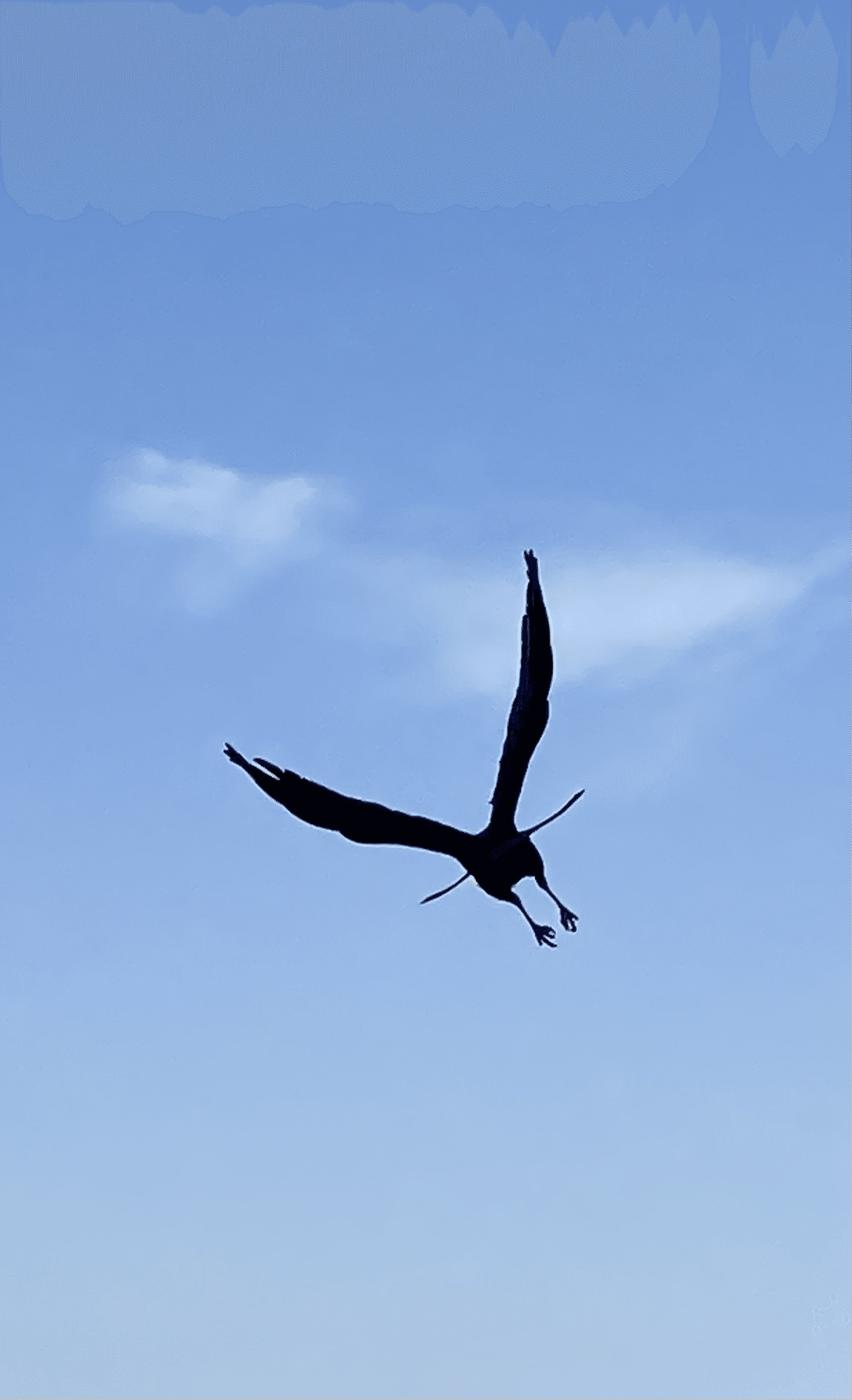 そら様ご確認画像！ 秘技？｜＊sora＊