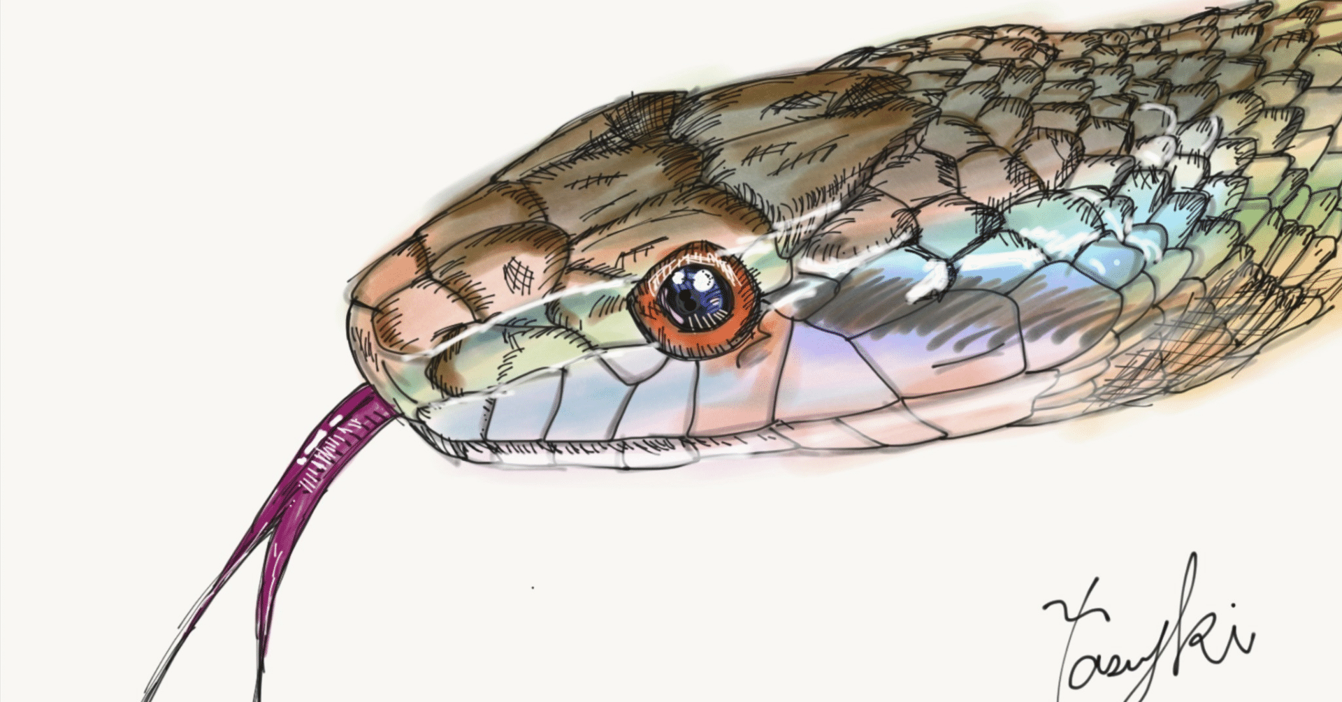 爬虫類・両生類800種図鑑｜弟切千隼