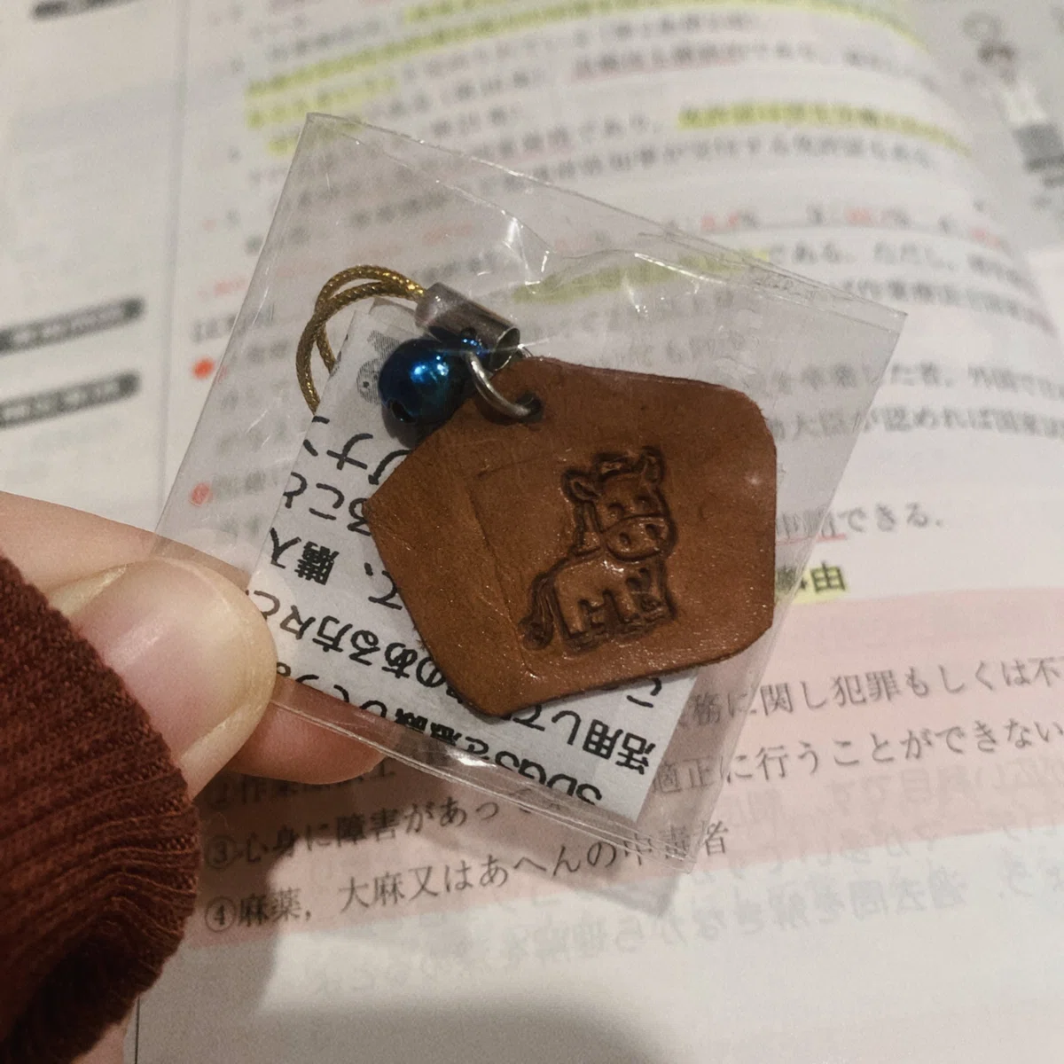 日記＆呟き──2025年2月編｜ぶう