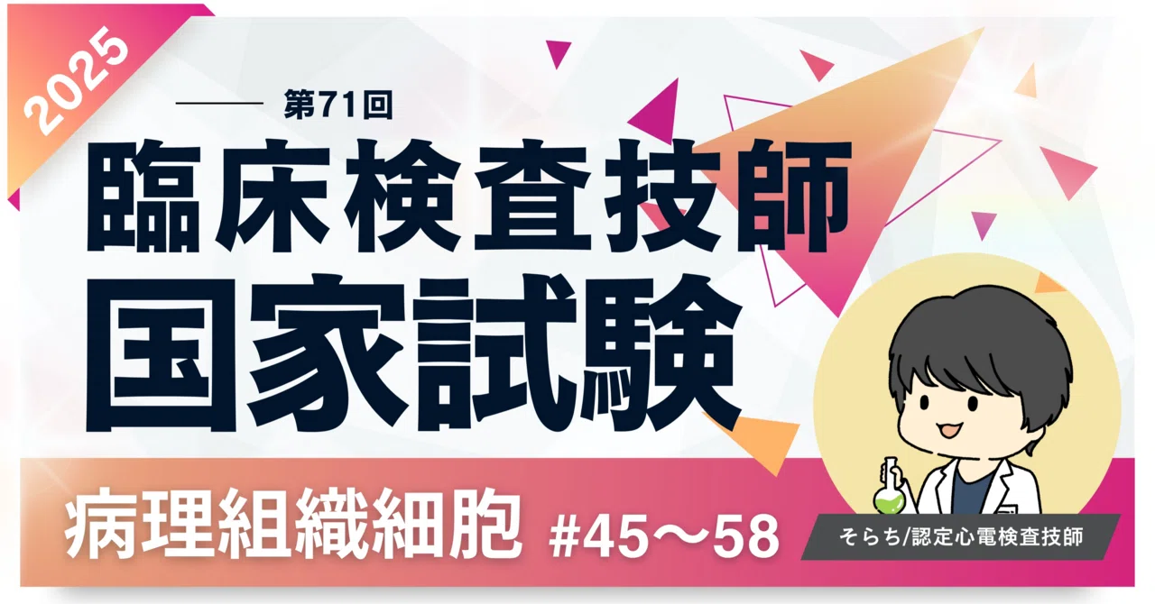 2025第71回臨床検査技師国家試験【病理組織細胞学】#45〜58｜そらち