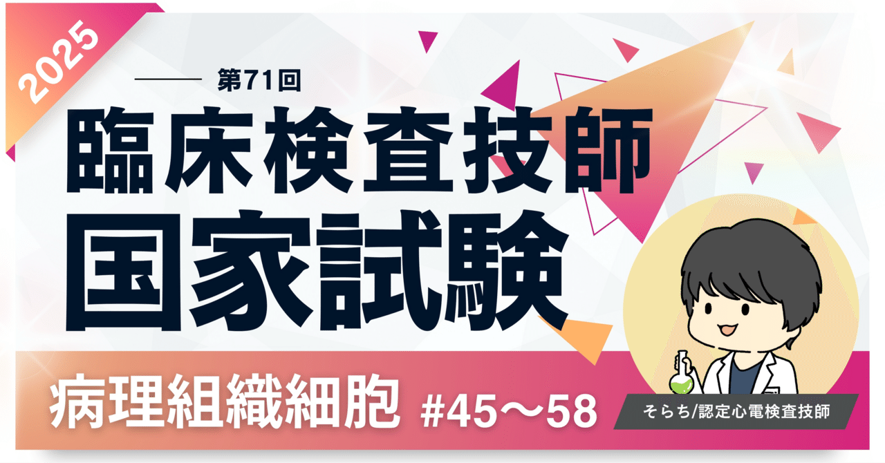 2025第71回臨床検査技師国家試験【病理組織細胞学】#45〜58｜そらち