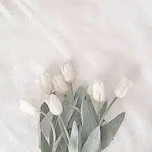 mono