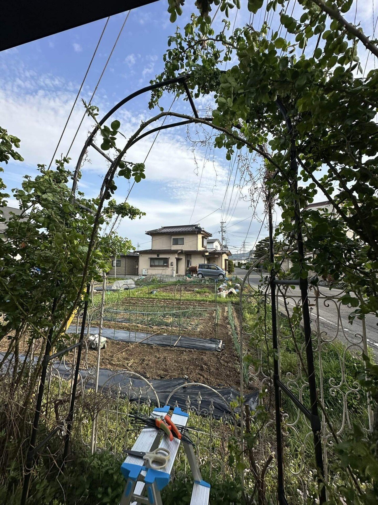 風水・住居・京都式風水