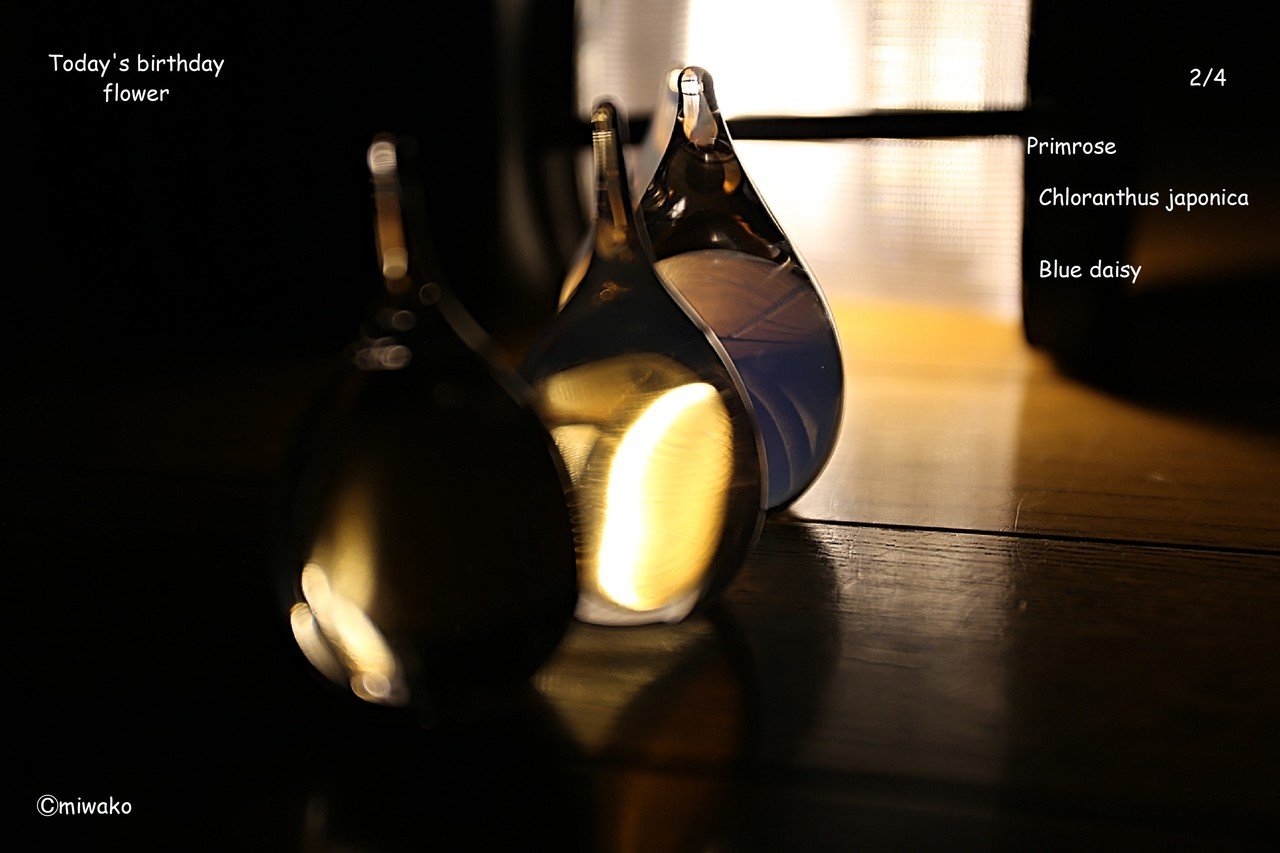 誕生花2 4 Miwako Note