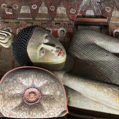 平沢進「景観する循環カフェ」｜kermit_nawoko