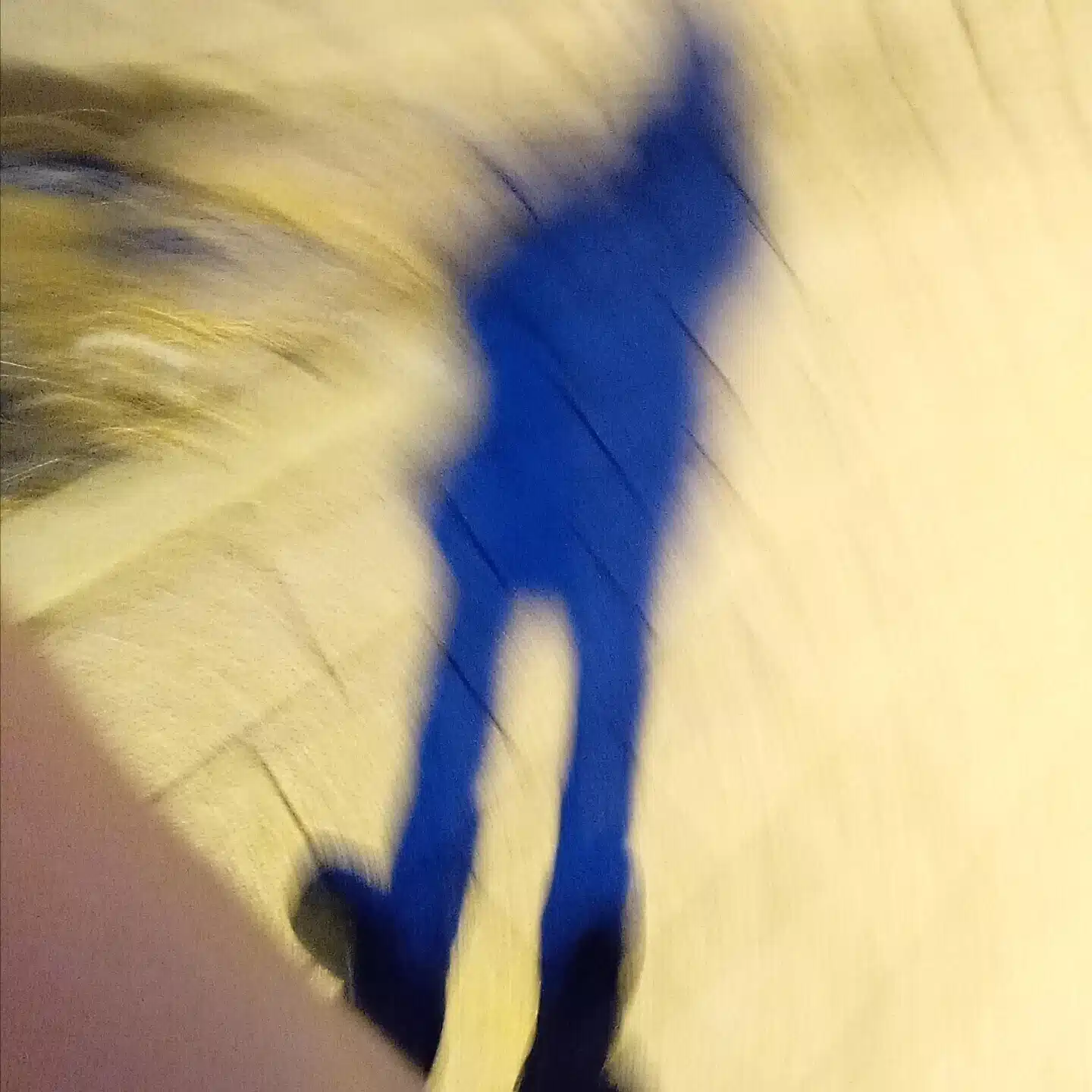 けろけろかえる