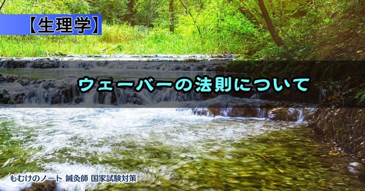生理学 ウェーバーの法則って何 もぬけ 国試対策 鍼 柔 あ Note