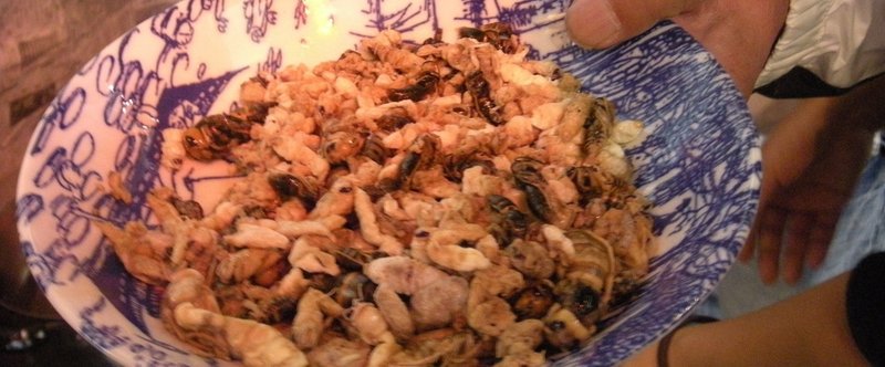 珍味 郷愁のハチの子 木谷美咲 Note 珍味 郷愁のハチの子 木谷美咲 Note