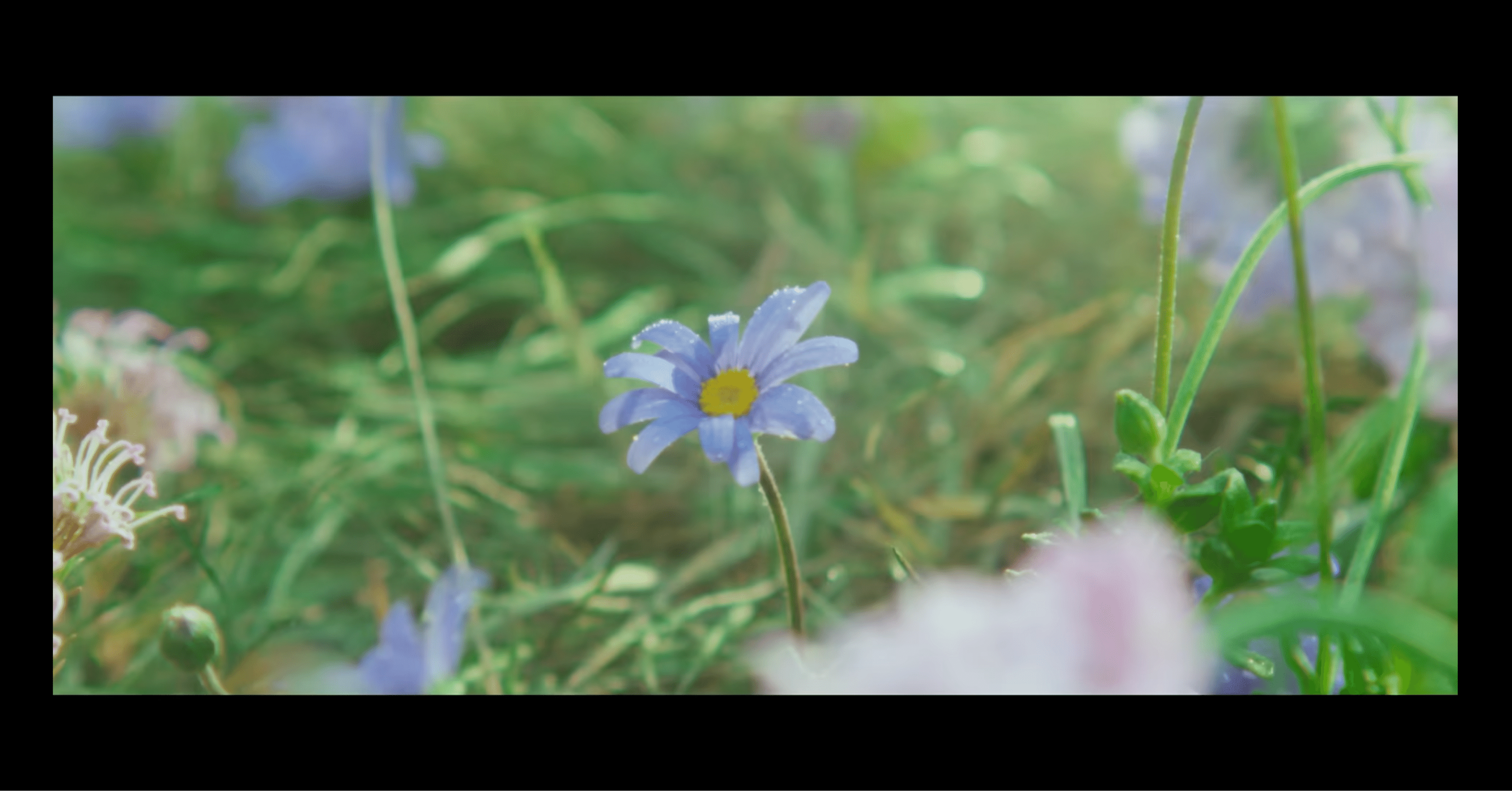 考察・感想・連想②】 Mrs. GREEN APPLE「天国（Full/MV）」聴いた観た